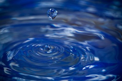 Image 1888 - Professional Macro photography by Bobby Shull