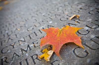 Image 0112 - Professional photography by Bobby Shull