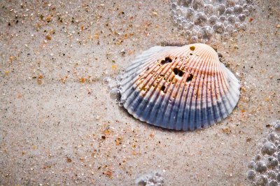 Image 6680 - Professional photography by Bobby Shull