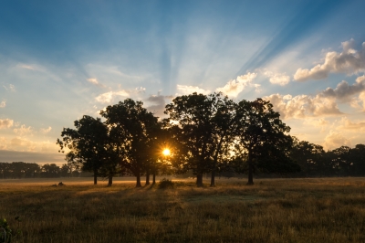 Img 0377.jpg - Professional Scapes photography by Bobby Shull