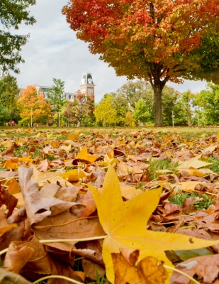 Image 0630 - Professional Scapes photography by Bobby Shull