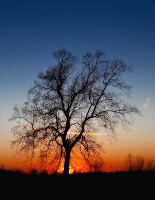 Image 4396 - Professional Scapes photography by Bobby Shull