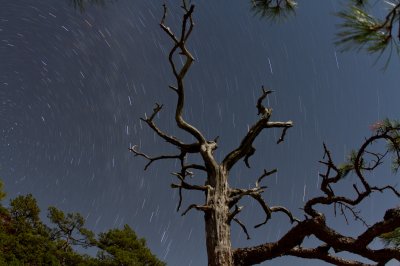 Image 8174 - Professional Starscapes photography by Bobby Shull