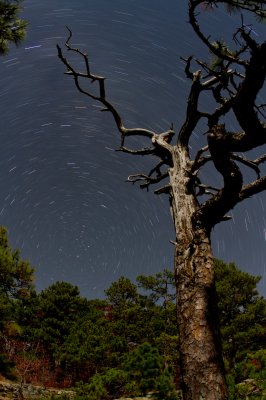 Image 8176 - Professional Starscapes photography by Bobby Shull