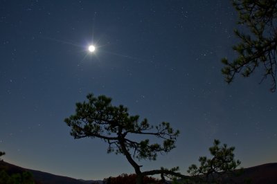 Image 8192 - Professional Starscapes photography by Bobby Shull