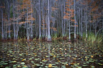 Image 8922 - Professional Waterscapes photography by Bobby Shull